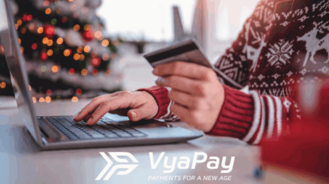 Be everywhere they spend the holidays, with VyaPay-image